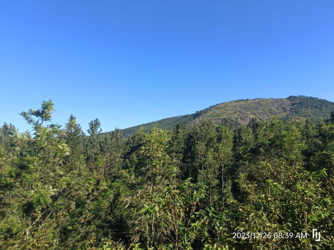 Bns Village Resort Kolli Hills Buitenkant foto